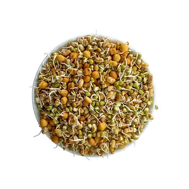 Sprouts - Mixed