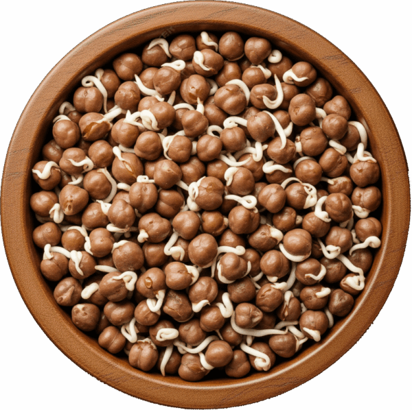 Sprouts Brown Channa
