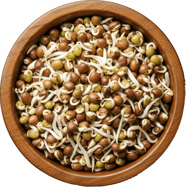 Sprouts Horse Gram