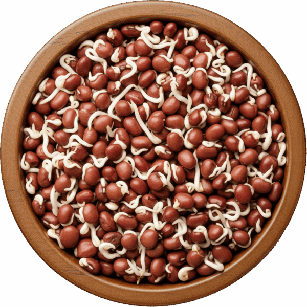 Sprouts Red Lobia