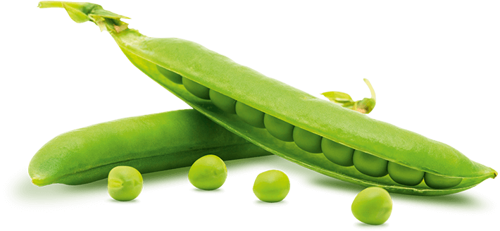 Green Peas object