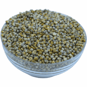 Bajra ( Pearl Millet )