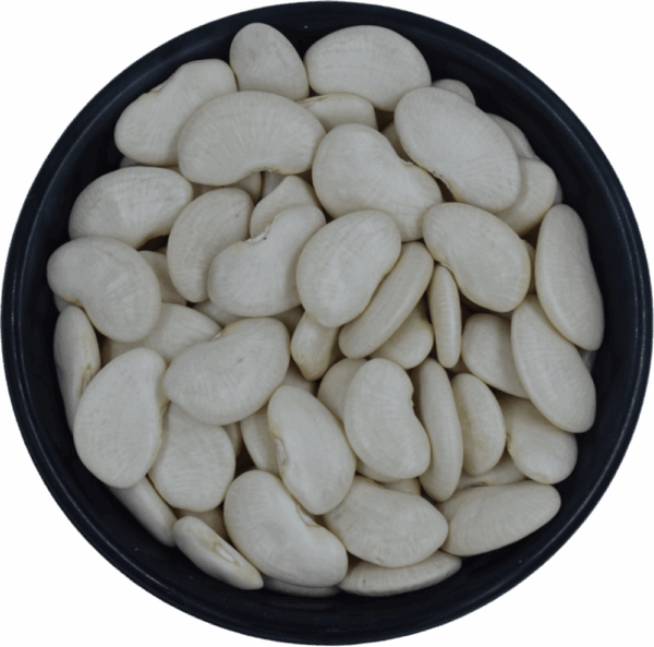 Double Beans White