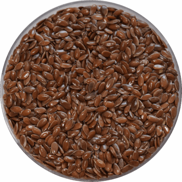 Flax Seeds