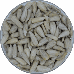 Sunflower Seeds