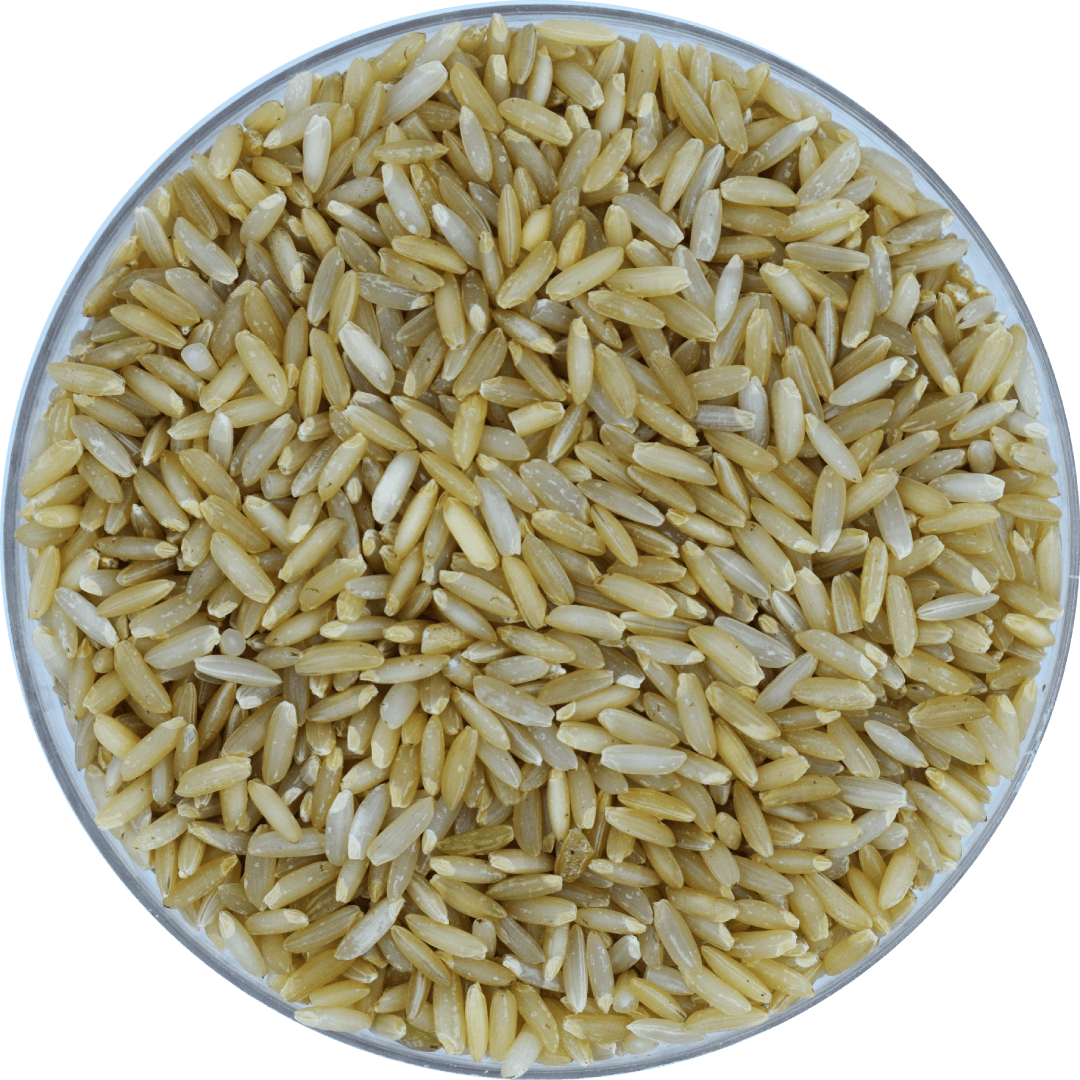 Grains & Traditional Rices