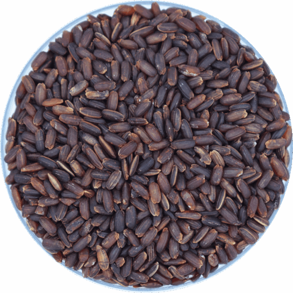 Mapillai Samba Rice