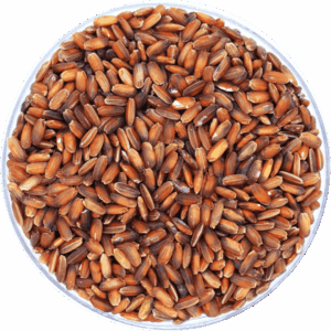 Red Kavuni Rice