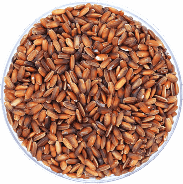 Red Kavuni Rice